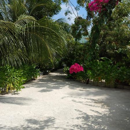 Sunrise Inn Thoddoo Exterior foto